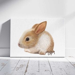 Bunny Canvas