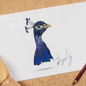 Peacock Drawing Canvas