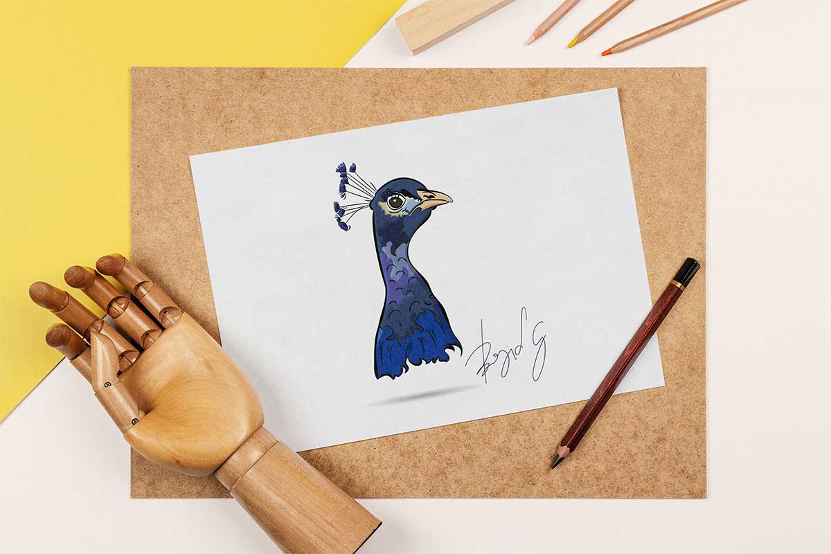 Peacock Drawing Mockup